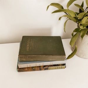 Accents - Set of 3 vintage books Accents - Set of 3 vintage books